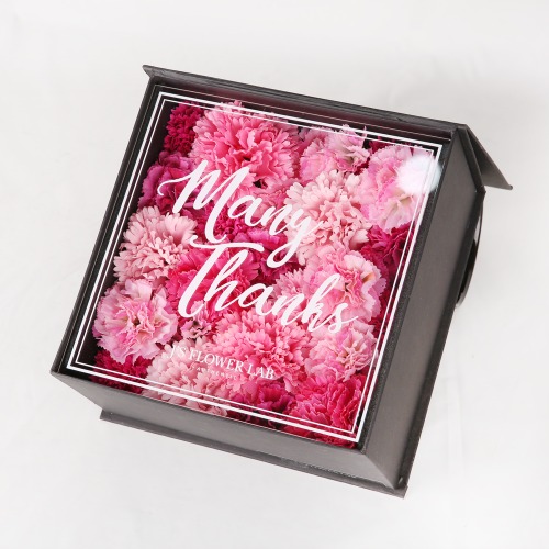 flower box (carnation)